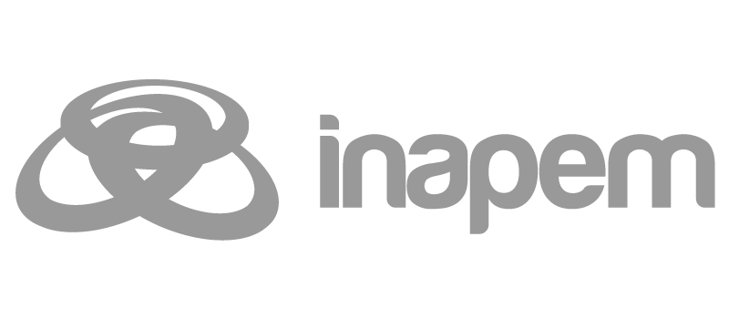 Inapem Gray Logo