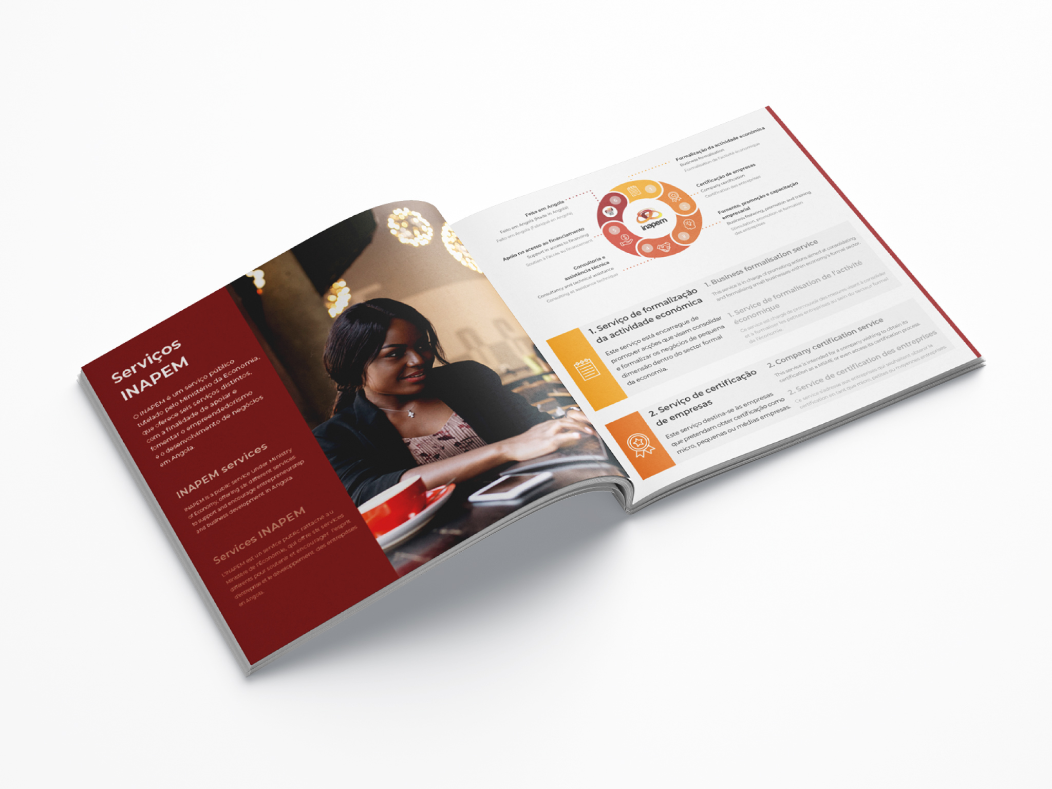 INAPEM Corporate Brochure Example 2