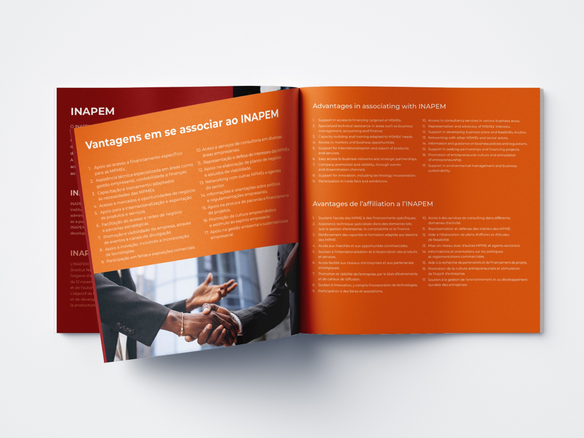 INAPEM Corporate Brochure Example 3