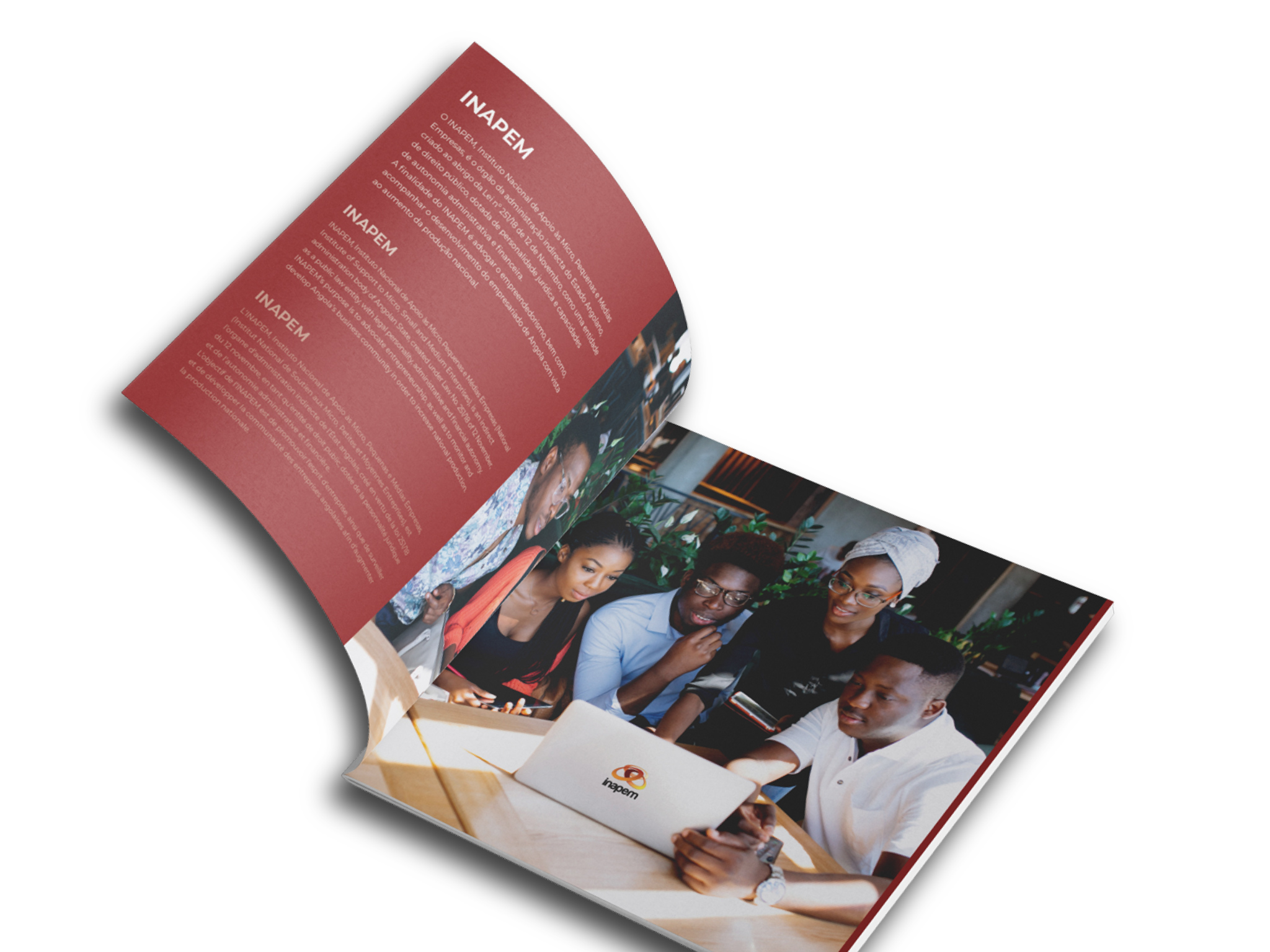 INAPEM Corporate Brochure Example 4