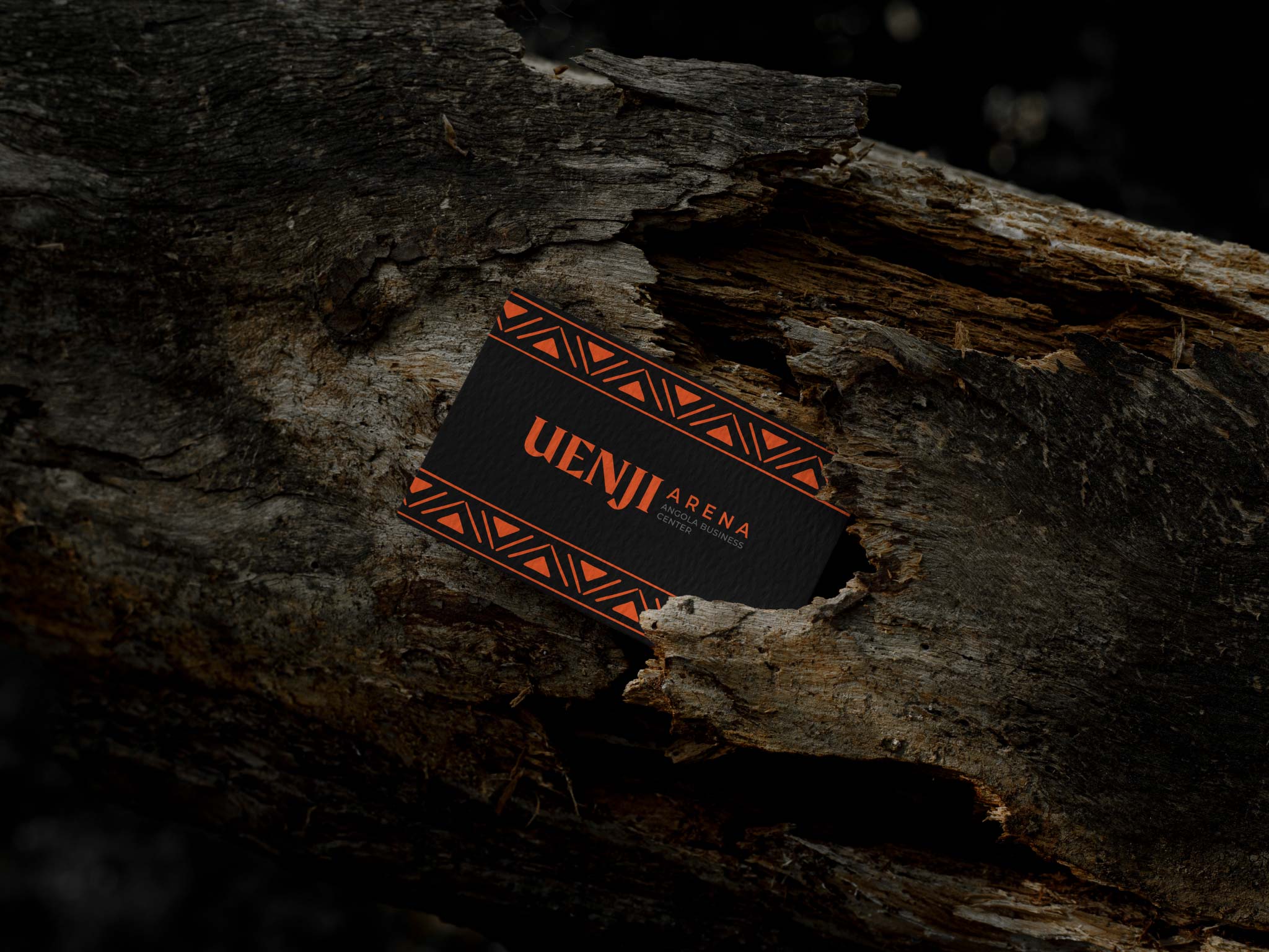 UENJI ARENA Branding Example 4