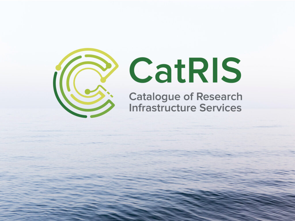 CatRis Branding Example 1