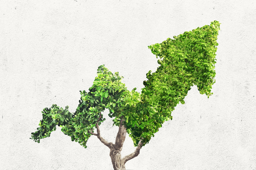 Guide to help companies in 2026 Guia para ajudar as empresas no seu 2026