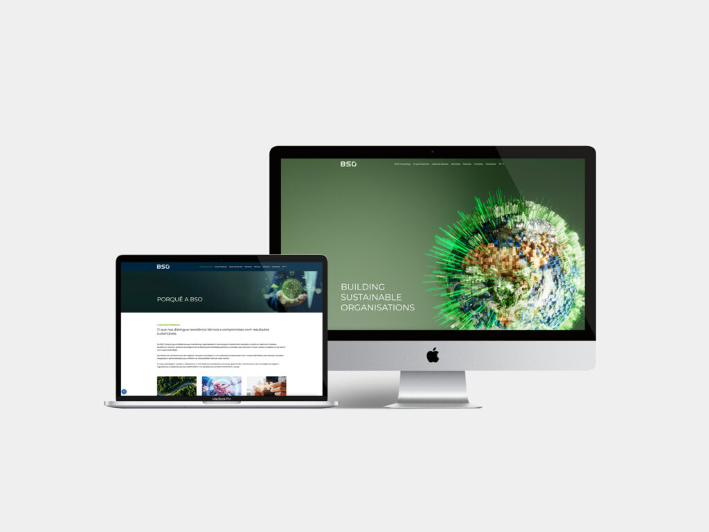 BSO Consulting Website