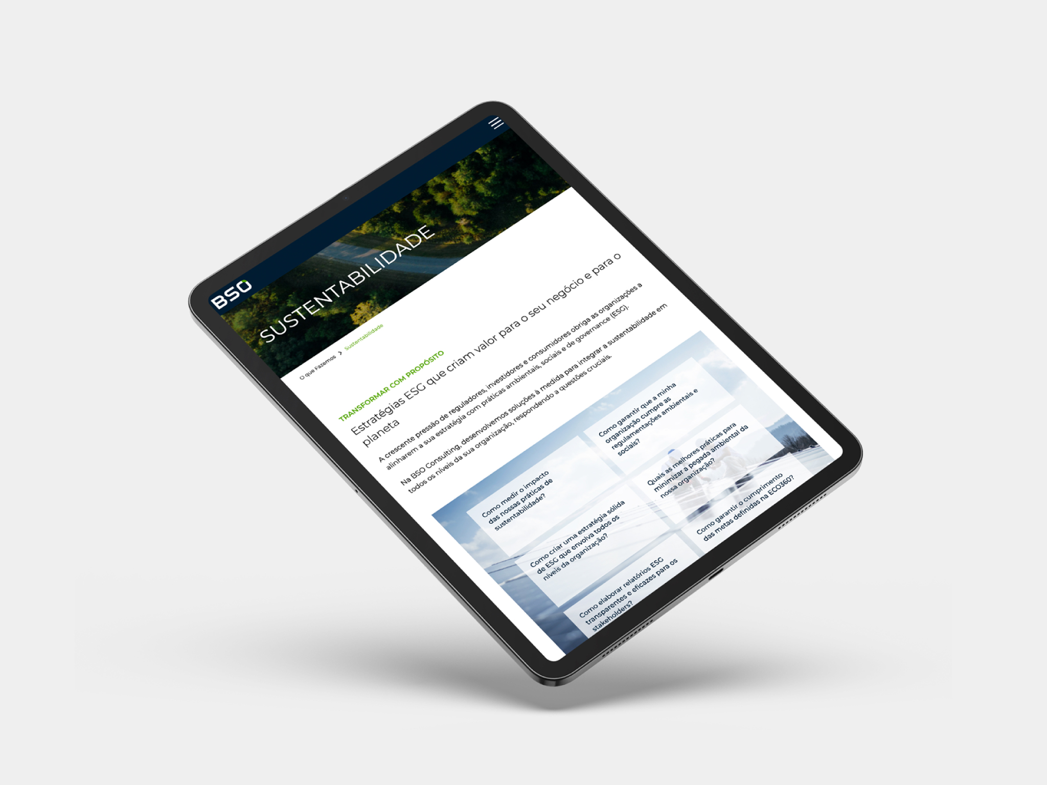 BSO Consulting Website